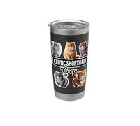 Exotic Shorthair Cat Crew Bicchiere termico in acciaio inox doppia parete