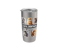 Exotic Shorthair Cat Crew Bicchiere termico in acciaio inox doppia parete