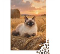 Exotic Shorthair Puzzle 1000 Pezzi Premium, Mappa Concettuale Tattile, Esperienza Unificante, Regalo Iconico 1000pcs (75x50cm)