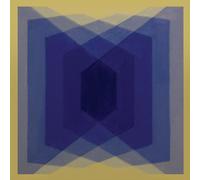 The Warlocks EXP (Experimental Burnout Music) (Vinyl LP)