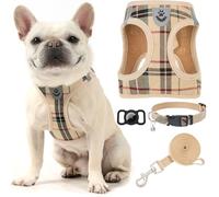 EXPAWLORER - Set di pettorina, collare e guinzaglio per cuccioli e cani di piccola taglia, con supporto per AirTag, morbida e imbottita, anti-tiro, riflettente, per esterni, cachi, taglia S