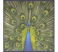 Expecting To Fly by The Bluetones (1996-07-30)