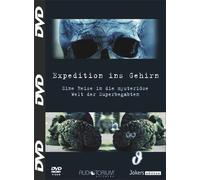 Expedition ins Gehirn - Eine Reise in die mysteriöse Welt der Superbegabten - DVD - 899D