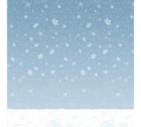 Expedition Norway Winter Sky Plastic Backdrop 30 X 4 "