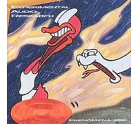 Experimental Audio Research Phenomena 256 (CD) Album