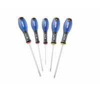 Expert Set di 5 cacciaviti