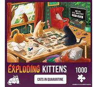 Exploding Kittens- Puzzle, PQUAR-1K-6