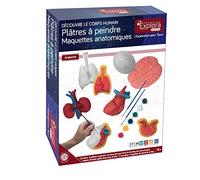 EXPLORA - Organi in gesso da dipingere - Anatomia del corpo umano - 546060-8 pezzi - Modelli anatomici - Pittura - Gioco per bambini - Fai da te - Hobby creativo - A partire dai 4 anni