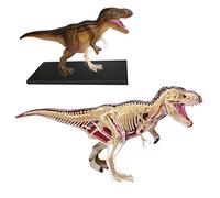 EXPLORA - T-Rex - Paleontologia - 546092 - Modello realistico di 36 pezzi - Istruzioni per il montaggio e quiz educativo - Dinosauro - Kit di scoperta - Per bambini - A partire dai 8 anni
