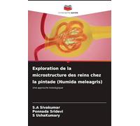 Exploration de la microstructure des reins chez la pintade (Numida meleagris): Une approche histologique