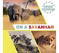 Explore Ecosystems: On a Savannah