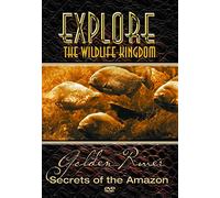 Explore the Wildlife Kingdom S - Secrets Of The Golden River [Edizione: Stati Uniti]