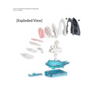 Exploring LAB Nature - Great White Shark - Model Kit