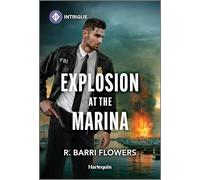 Explosion at the Marina