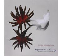 Explosion Of A Memory - Nikola Kodjabashia (Audio cd)