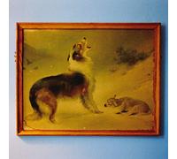 Explosions In The Sky - Rescue Lp