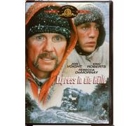 Express in die Hölle