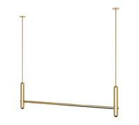 exproyzk Espositore in Metallo Dorato da Parete per Negozi di Abbigliamento | Appendiabiti sospesi a soffitto per vetrine, ideali per l'organizzazione di abiti da sposa(Gold,100cm/3.3ft)