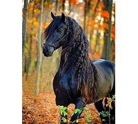 EXQULEG Diamond Painting, kit per pittura con diamanti 5D, kit per pittura con diamanti, per bambini, adulti, decorazione da parete (30 x 40 cm, cavallo)