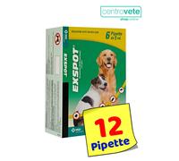 Exspot 1 ml → 6 / 12 / 18 Pipette CANE - Antiparassitario Cani da 2,5 kg a 40 kg