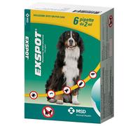 exspot 6 pip 2ml