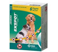 EXSPOT 6 PIP 1ML