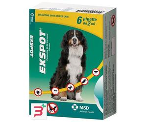 EXSPOT*6PIP 2ML 715MG/ML CANI