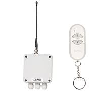 Exta Free Wireless a 2 canali interruttore di alimentazione Set, 1 pezzo, RWS 311 D/Z
