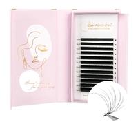 Extension Ciglia Easy Fan Lash 2D 3D 4D 5D 6D 7D 10D Extension Ciglia Volume Russo Seta Naturale Ciuffi Ciglia Finte Individuali per Salone Professionale di Lunamoon (3D-0.03-C, Mix 8-15mm)