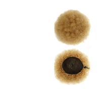 Extension e pezzi di capelli dall'aspetto naturale Parrucca corta afro con chignon riccio for donne bionde - Coda di cavallo raccolta crespa Extension per coda di cavallo con clip in capelli(Yellow)