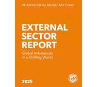External Sector Report 2025: Global Imbalances in a Shifting World