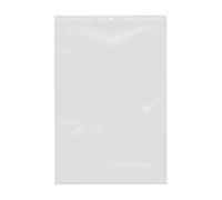 Extiff Lotto di 100 Sacchetti Trasparenti con Chiusura a Zip - Plastica Alimentare (20 x 30 cm)