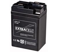 EXTRACELL Batteria Piombo Ricaricabile SIGILLATA 6 Volt 4,0 Ah SCANALATURA
