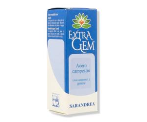Extragem acero campestre gemme biofarmex