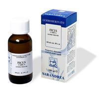 Extragem fico gemme biofarmex