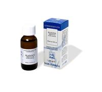 EXTRAGEM PLATANO GEMME 20ML