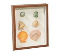 EXTRWORY Confezione da 2 scatole portaoggetti tridimensionali a forma di conchiglia, pannello a base di legno, 21 x 28 x 3 cm, organizer decorativo per la casa (noce)