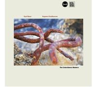 Eyal Maoz and Eugene Chadbourne The Coincidence Masters (CD) Album