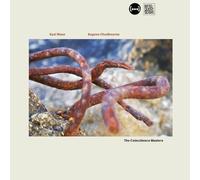 Eyal Maoz & Eugene Chadbourne - The Coincidence Masters