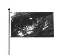 Eye Of Eagle - Bandiere per la casa, 9 x 1,5 m, con occhielli, per interni ed esterni, decorazioni per la casa