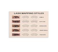Eyelash Mapping Styles Guide Lash Design Reference Poster Canvas Wall Art for Beauty Salon and Makeup Room Decor(Framed,08x12inch(20x30cm))