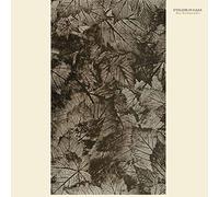 Eyeless In Gaza - Rust Red September