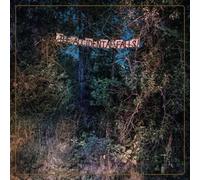 Eyelids The - The Accidental Falls