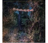 Eyelids The Accidental Falls (CD)