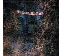 Eyelids The - The Accidental Falls