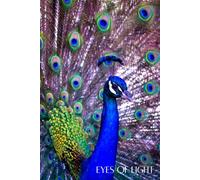 Eyes of Light: A 6x9 Journal for Awareness and Awakening