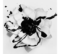 EYES SET TO KILL - WHITE LOTUS