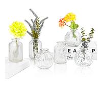 EylKoi Set di 6 vasi per fiori in vetro trasparente a forma di zucca, decorazione vintage per matrimoni, vasi per boccioli in vasi sfusi per centrotavola piccoli vasi per fiori singoli in vetro per