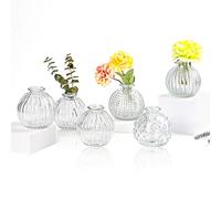 EylKoi Set di 6 vasi per fiori in vetro trasparente a forma di zucca, decorazione vintage per matrimoni, vasi per boccioli in vasi sfusi per centrotavola piccoli vasi per fiori singoli in vetro per