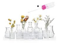 EylKoi Vaso Fiori Vetro Set 12 Pezzi Vasi in Vetro con Vieni Spazzola, Vasi in Vetro Piccoli Cute, Vintage Vaso Trasparente Matrimonio Decorazioni Porta Fiori Nozze Rustiche per la Tavola di CAS